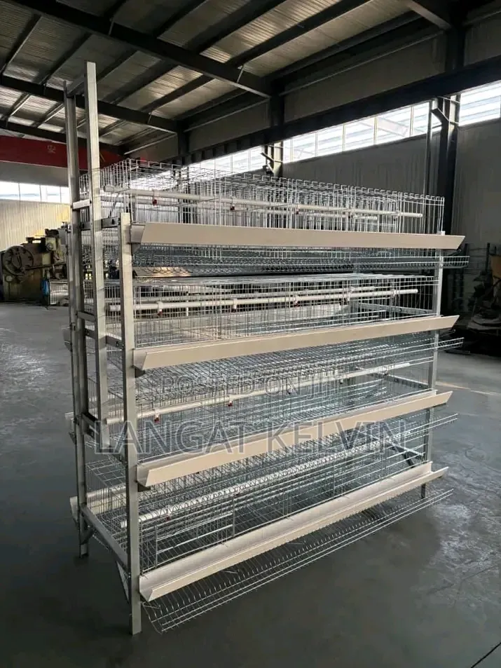 Good Quality H Type Poultry Cage 160 Birds Capacity for Sale