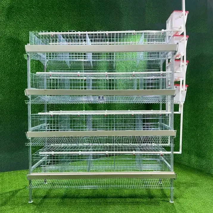 Brand New H Type Poultry Cage 160 Birds Capacity for Sale