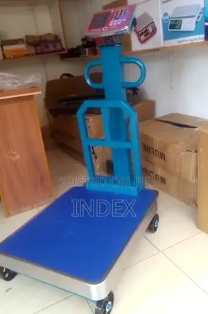 600kg Weigh Platform Accurate Weighing Scale