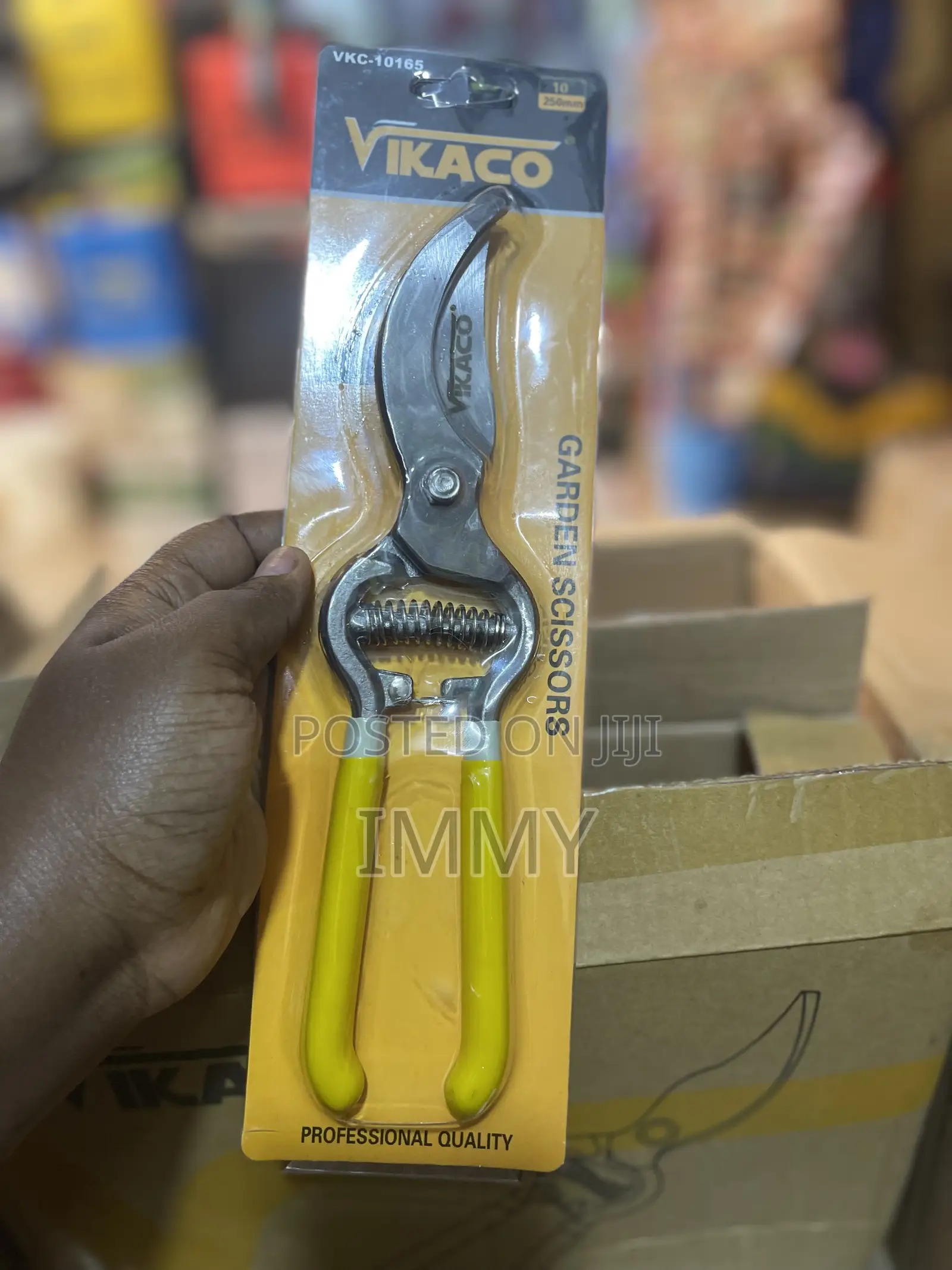 Pruning Scissors