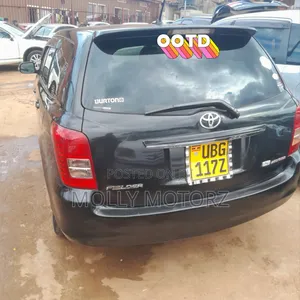 Toyota Corolla Fielder 2006 Black