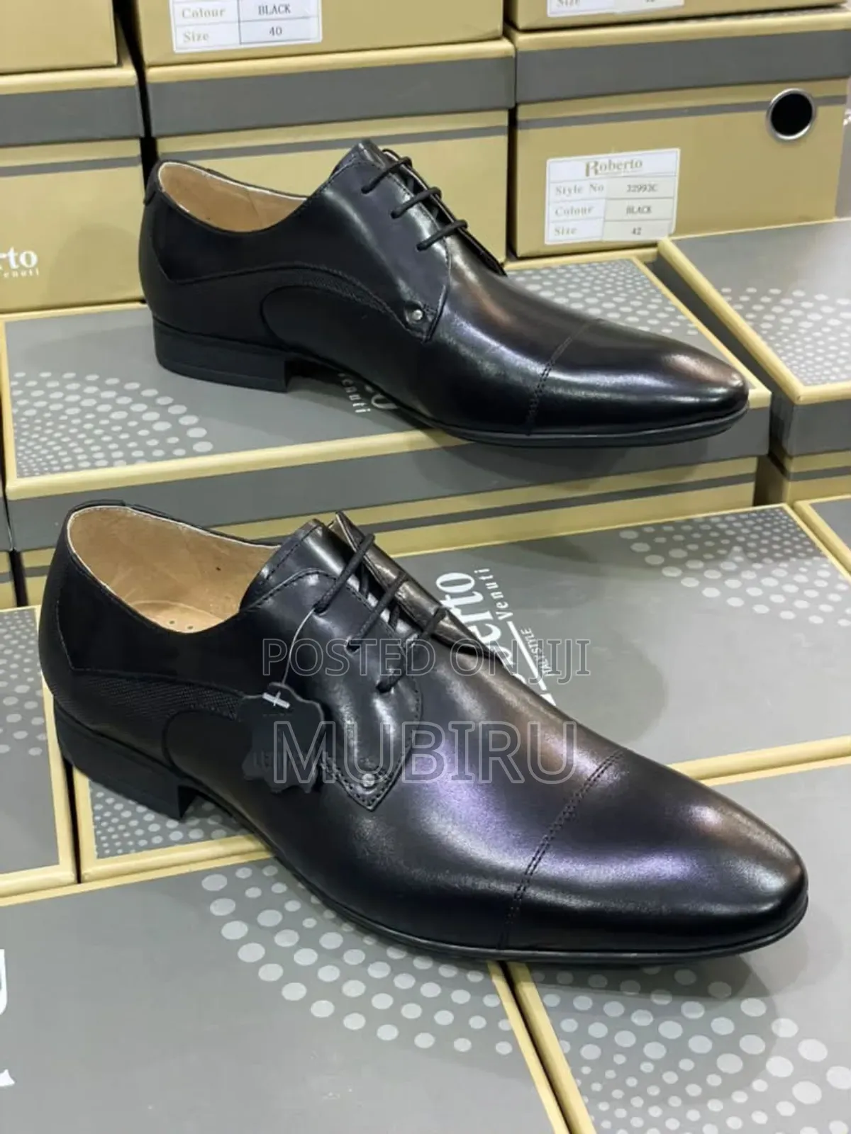 Classic Shoes