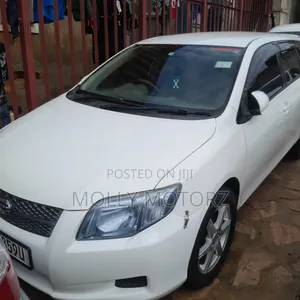 Toyota Corolla Fielder 2007 White