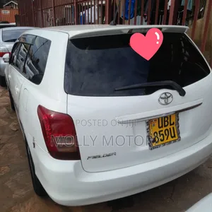 Toyota Corolla Fielder 2007 White