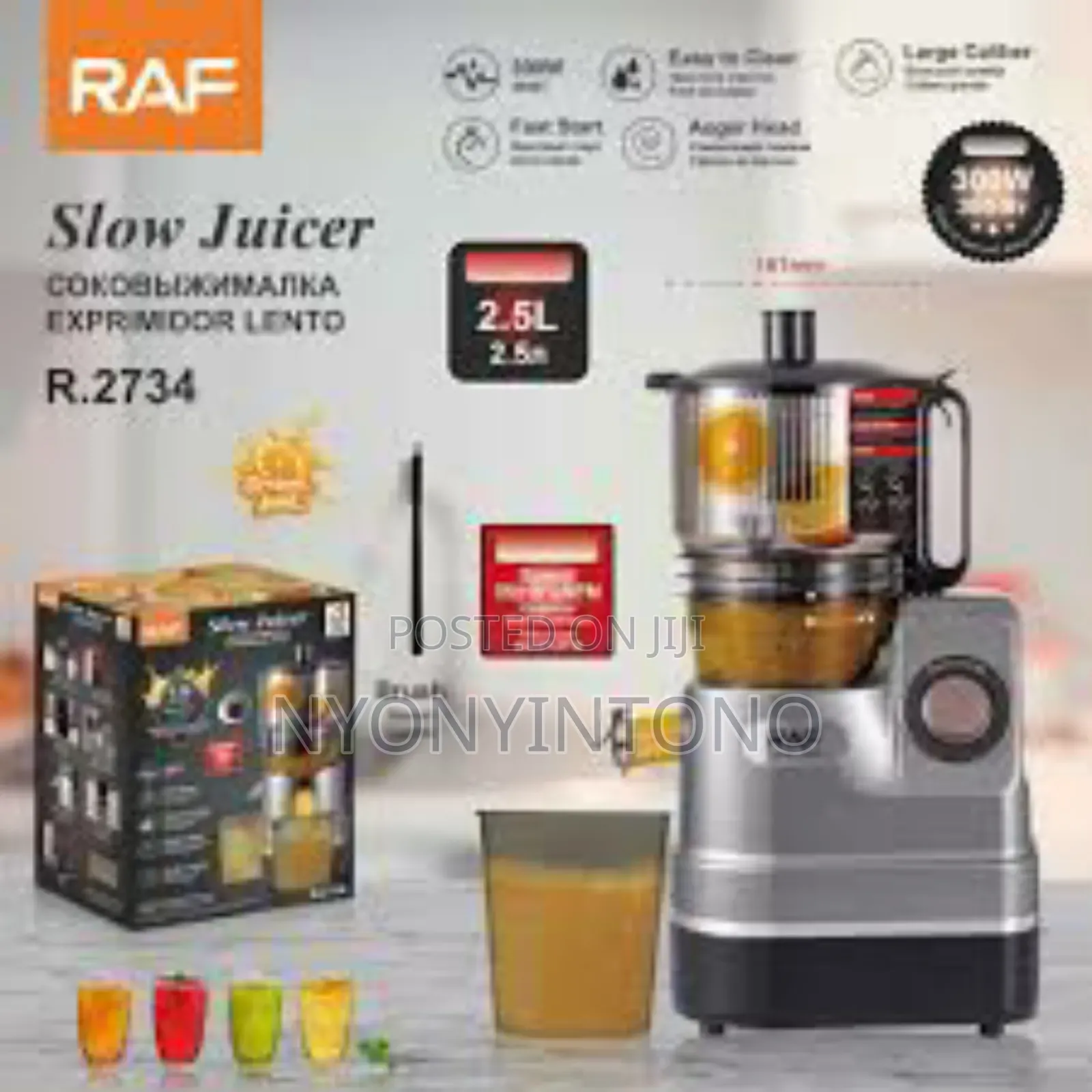 Raf 2.5litres High-Quality Slow Juicer