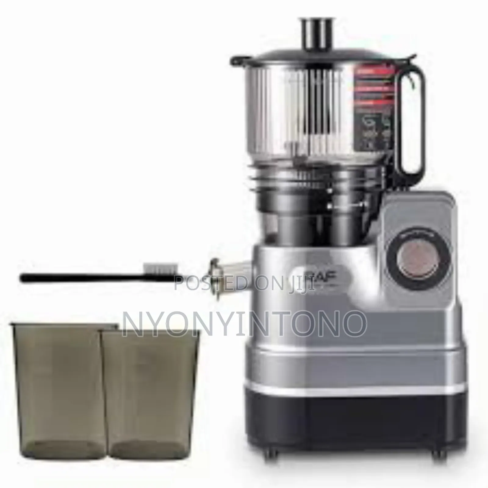 Raf 2.5litres High-Quality Slow Juicer