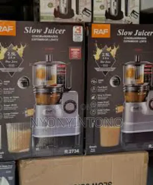 Raf 2.5litres High-Quality Slow Juicer