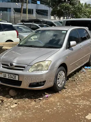 Toyota Allex 2007 Silver