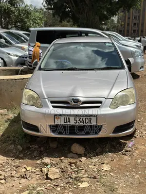 Toyota Allex 2007 Silver