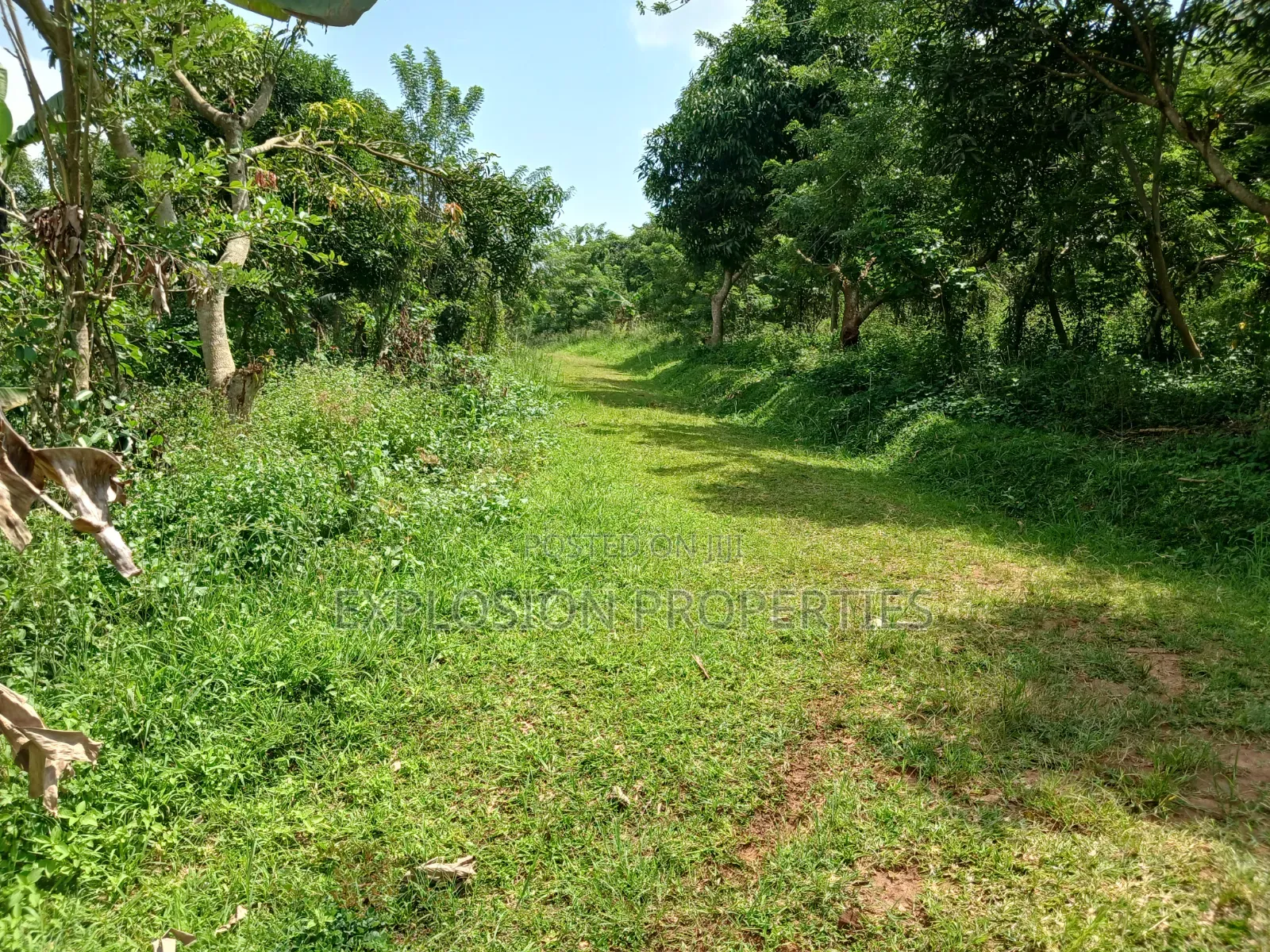 Land for Sale at Kasozi Busukuma