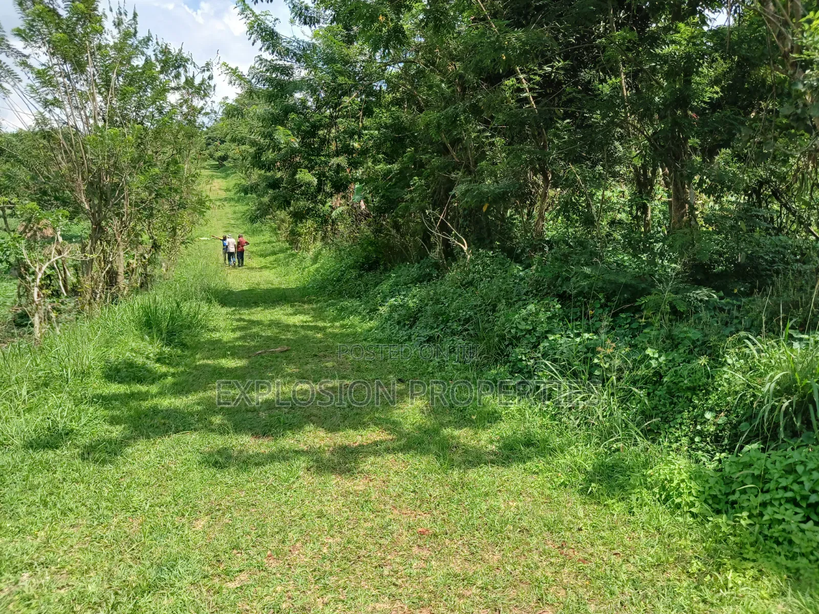 Land for Sale at Kasozi Busukuma