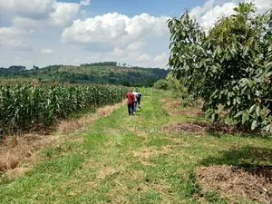 Land for Sale at Kasozi Busukuma