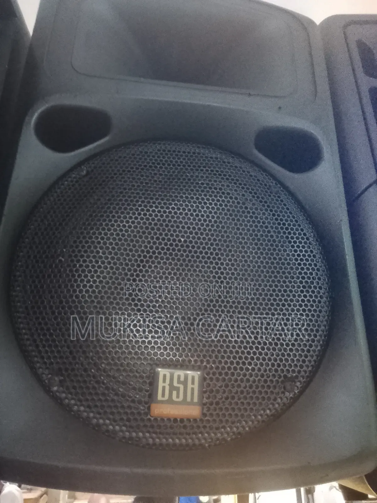 Bsa Pro Audiotm