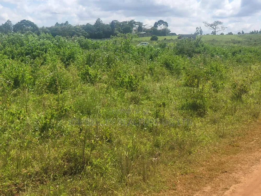 Entebbe Road Bwerenga 3 Lakeview Estate Plots for Sale