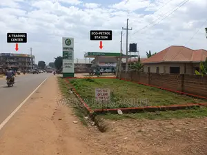 Massavu Property Agency