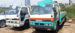 Isuzu ELF Truck 1992 White