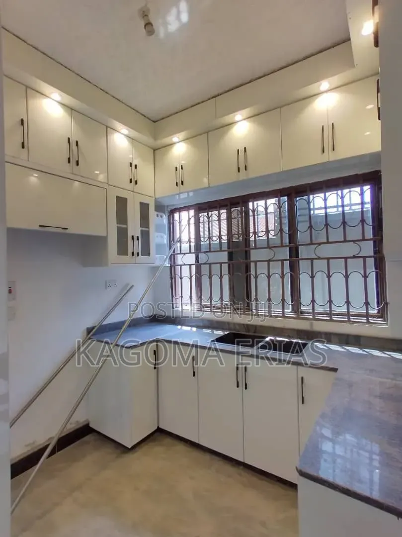 High Gloss Kitchen Cabinets