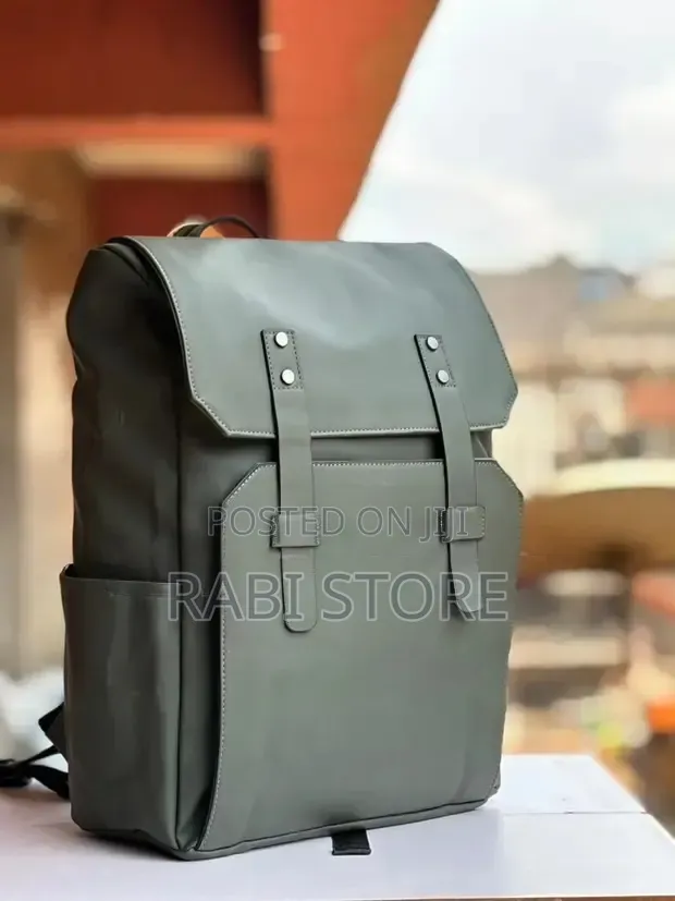 Fashionable Casual Backpack/Laptop Bag