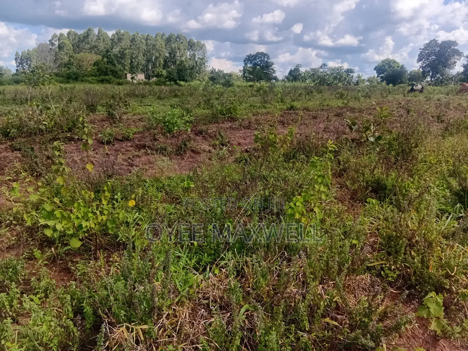 This Land Is on Sale