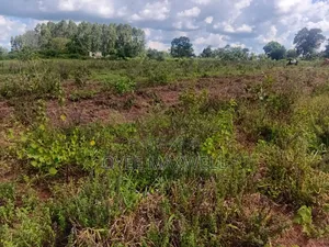 This Land Is on Sale