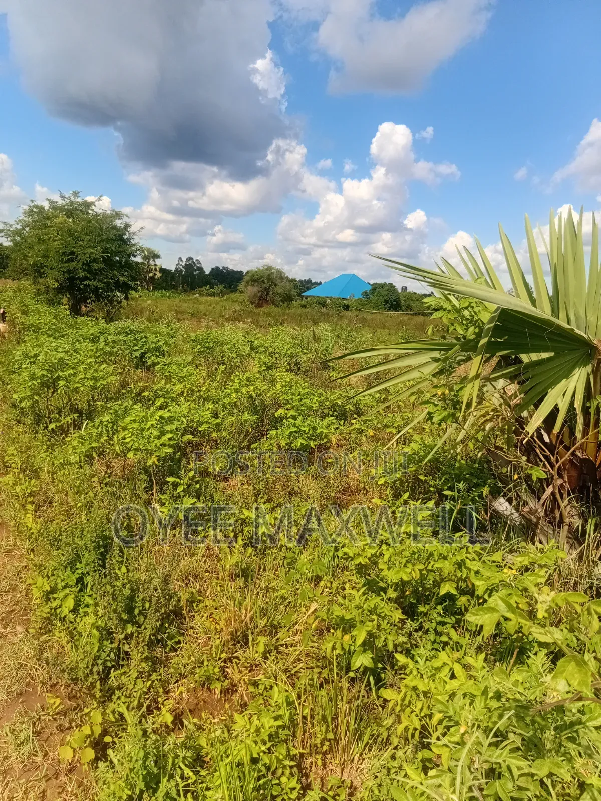 This Land Is on Sale