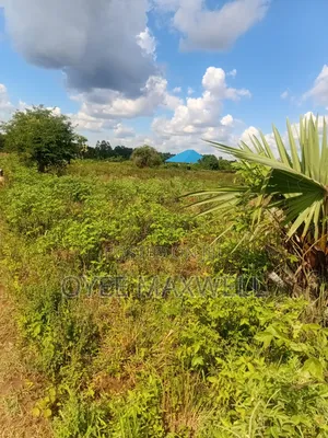 This Land Is on Sale