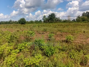 This Land Is on Sale