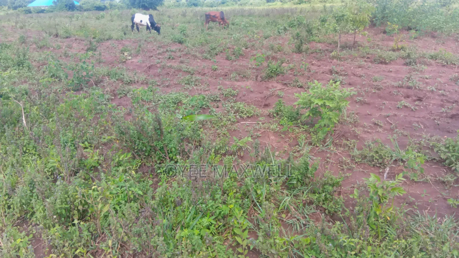 This Land Is on Sale