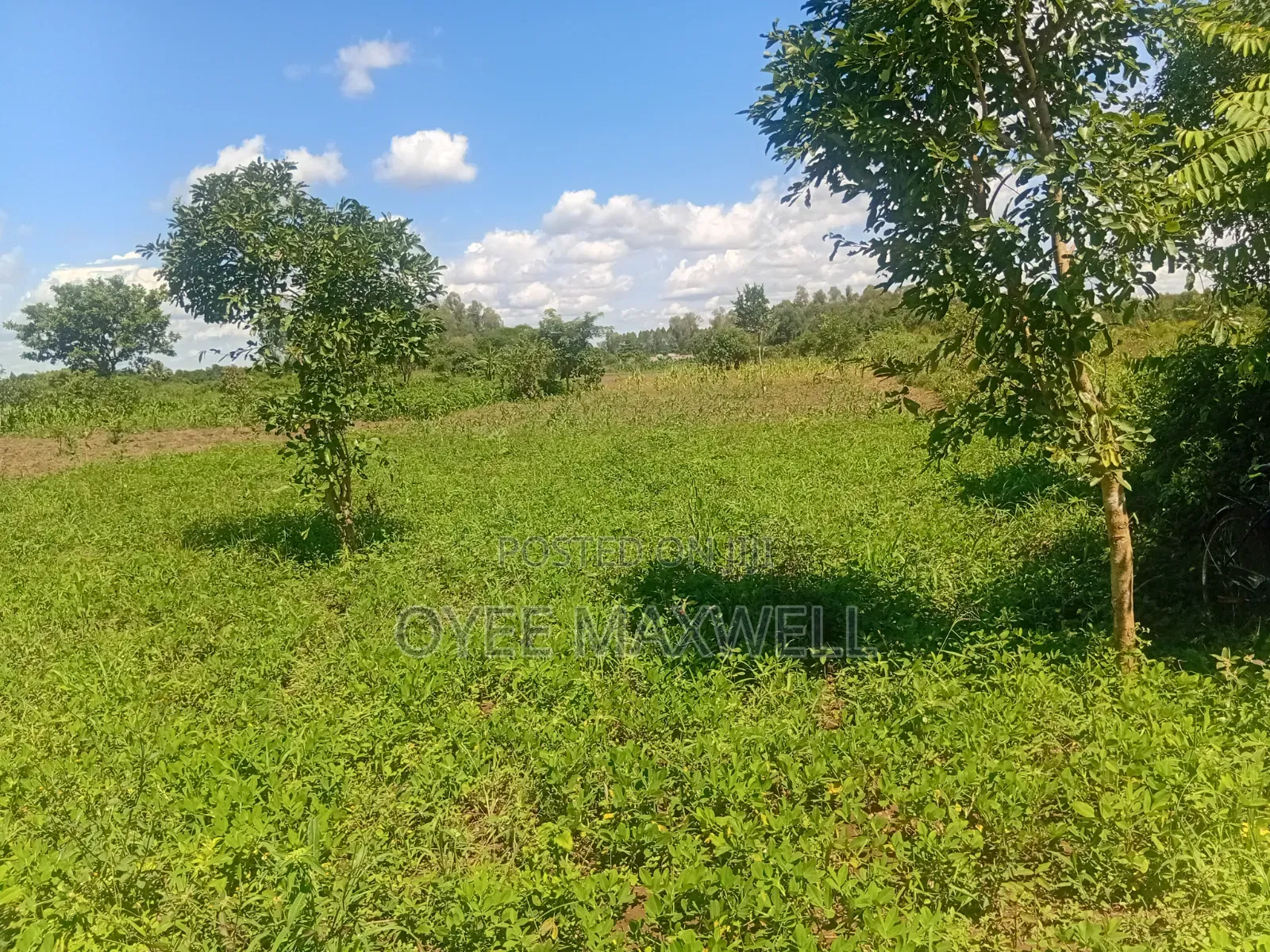 This Land Is on Sale