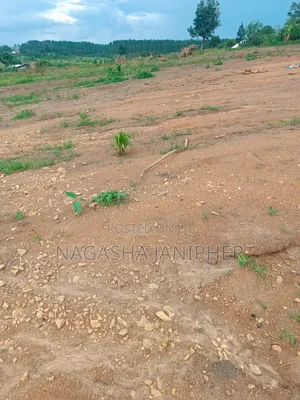 Grab 50*100ft Plot At Kayanda, Matuga, Ssemuto Road, 1km