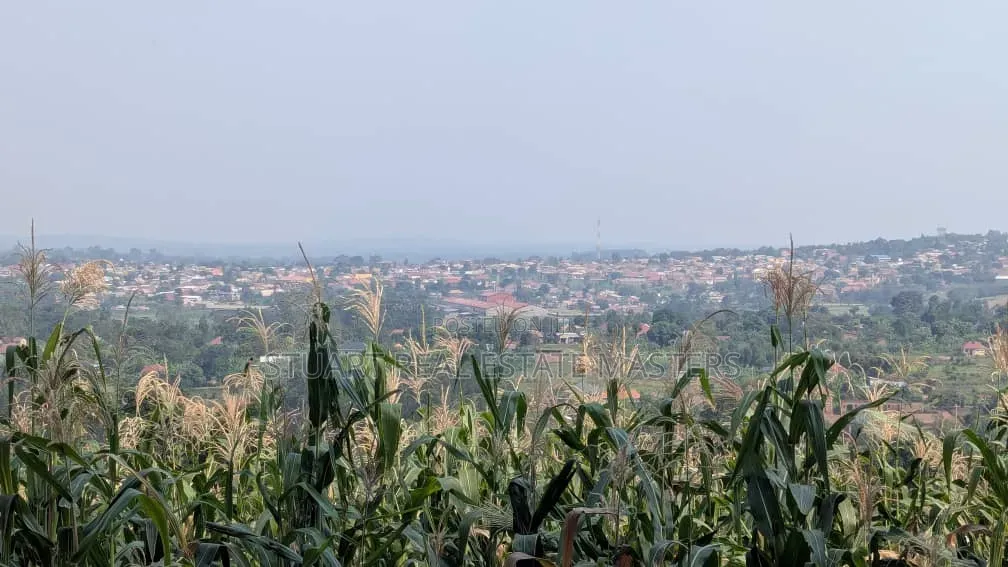 4 Acres for Sale at Mutundwe
