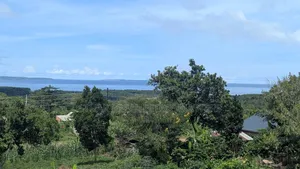 3 Acres for Sale at Katosi