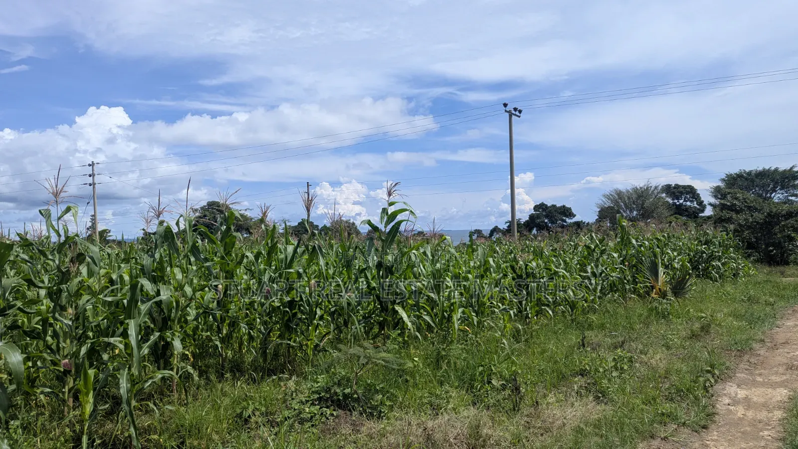 3 Acres for Sale at Katosi