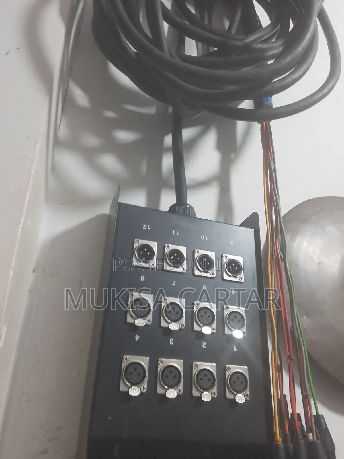 Snake Wire/Cable