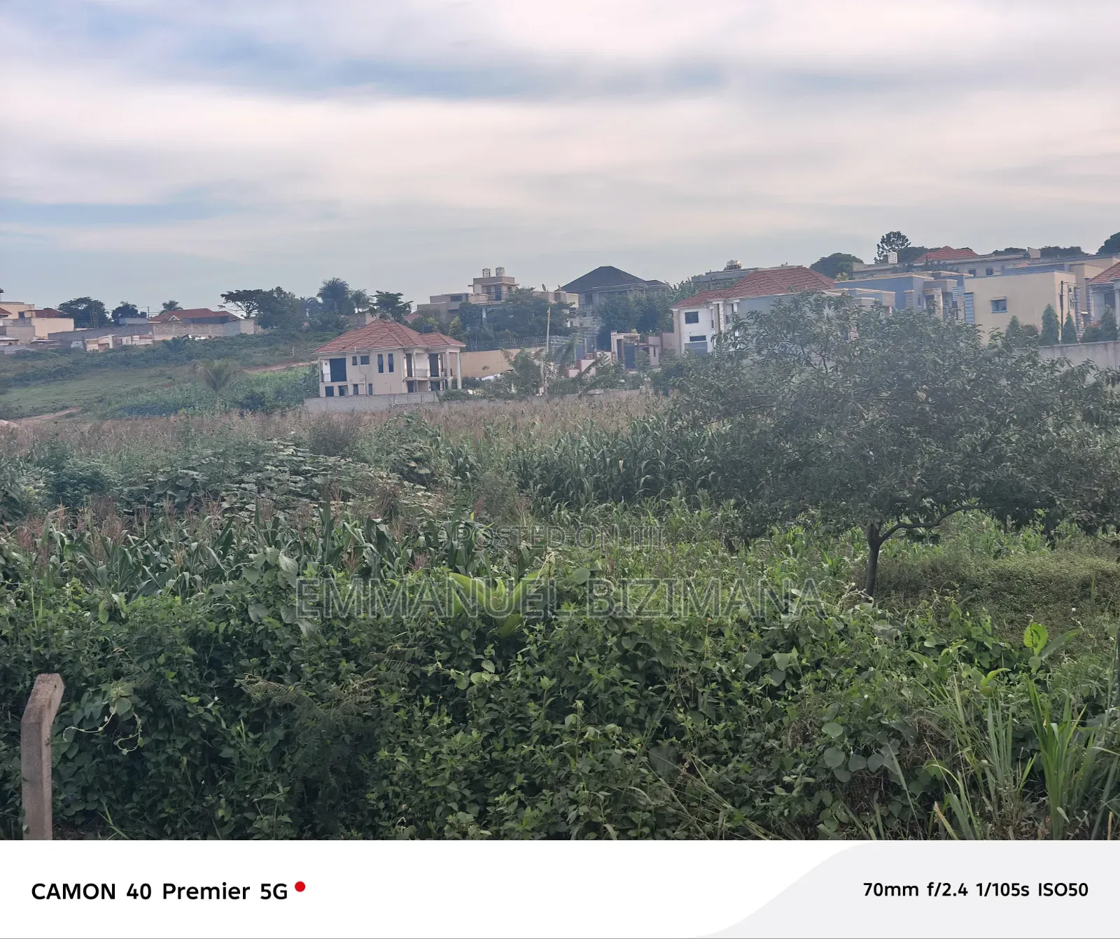 Acre for Sale Kira_shimon