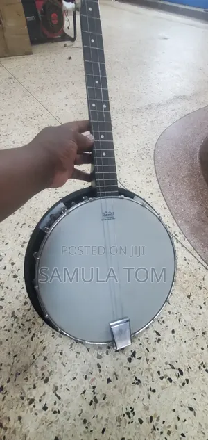 Guitar Banjo Head Only Remo