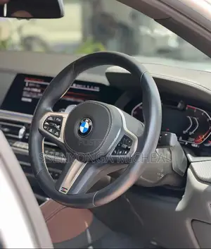 BMW X6 2023 White