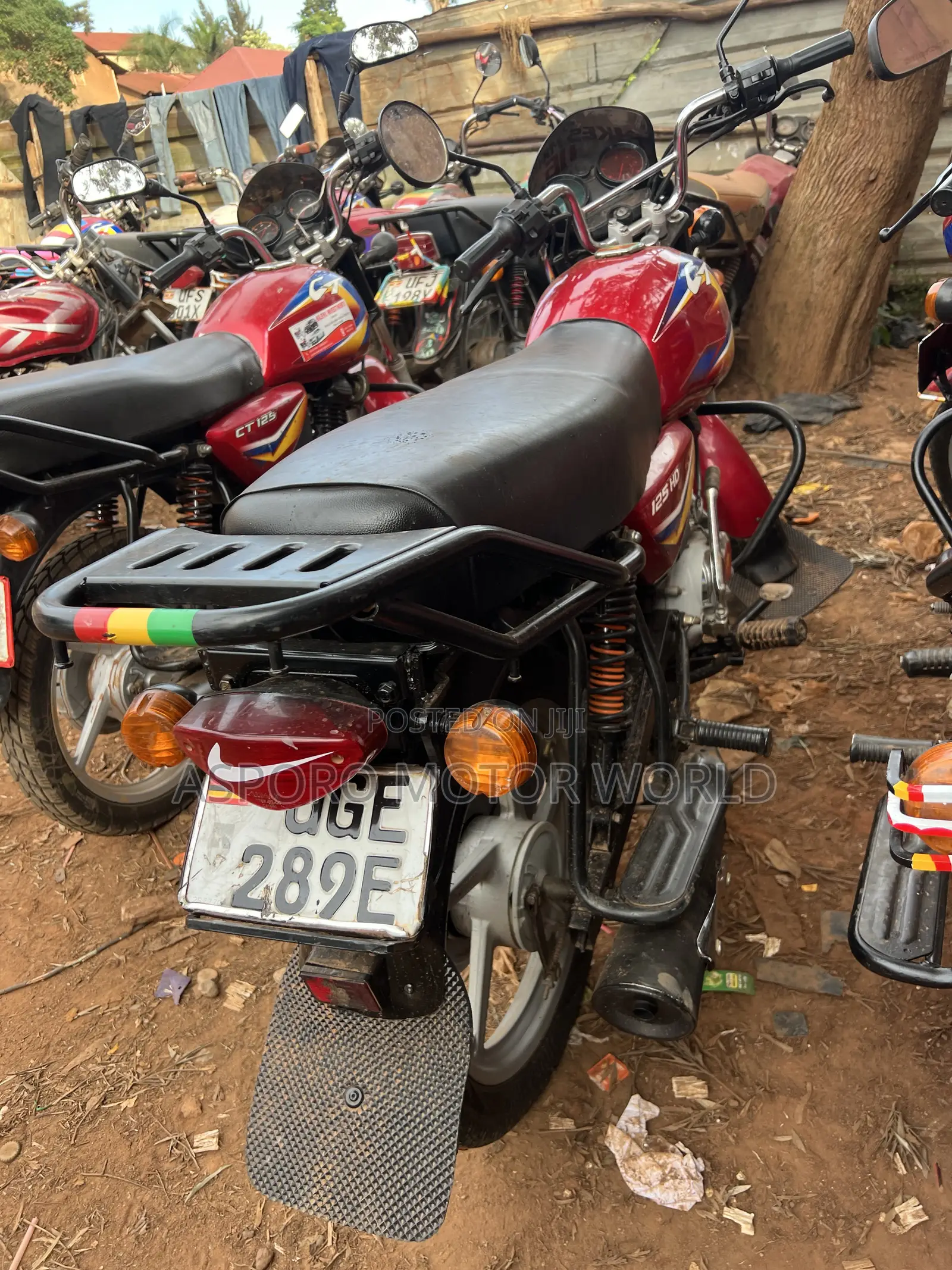 Bajaj CT 125X 2024 Red