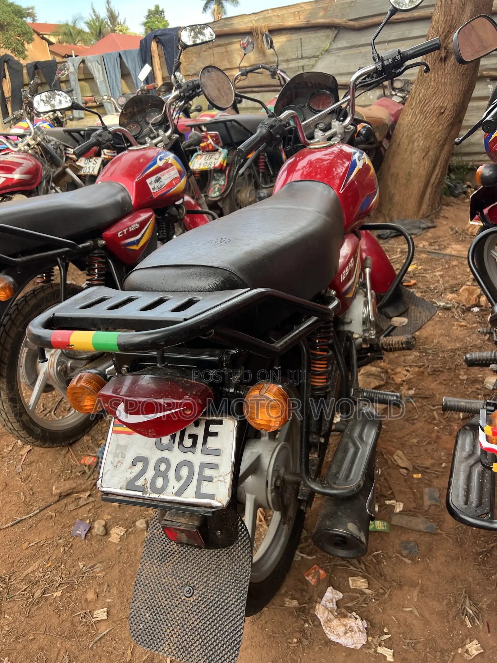 Bajaj CT 125X 2024 Red