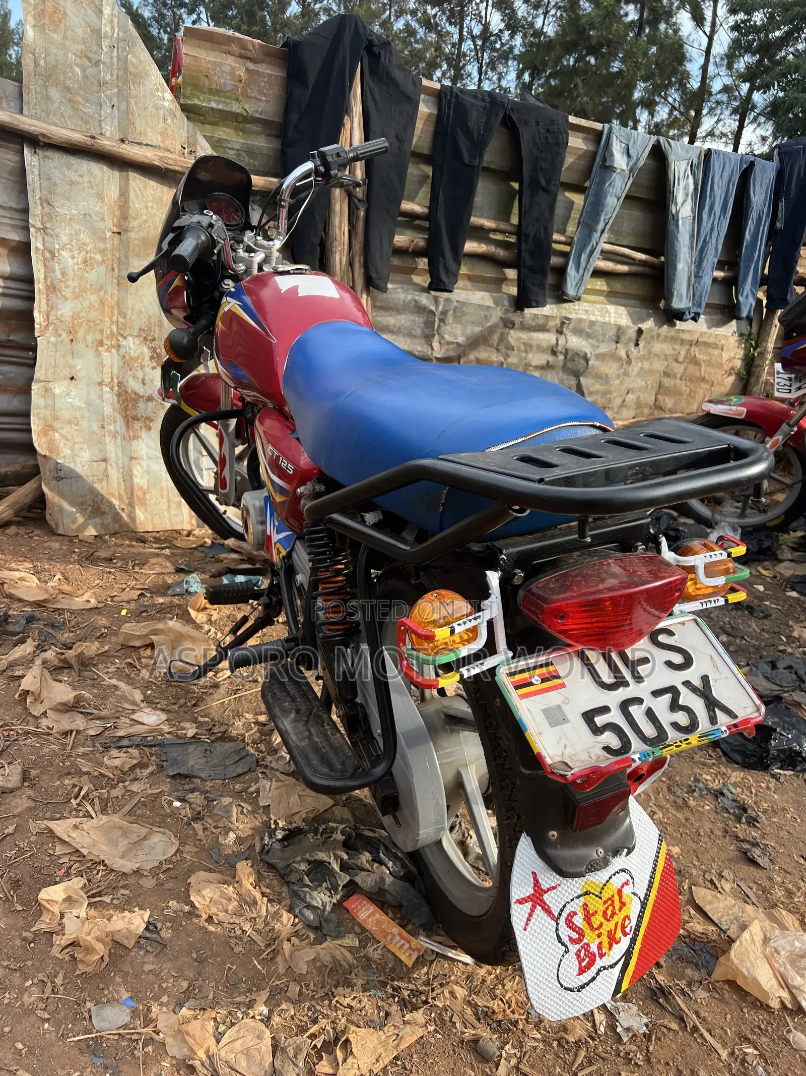 Bajaj CT 125X 2023 Red