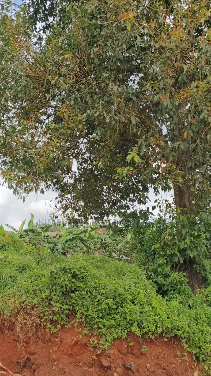 Plot for Sale Bweyogerere Butto