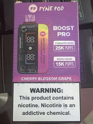Pyne Pod Boost Pro 25000puffs Vape
