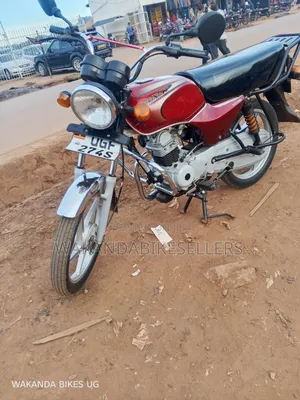 Bajaj Boxer 100 2024 Red