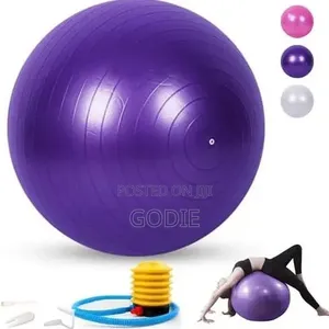 Snti-Burst Yoga Balls With Inflator Pump.