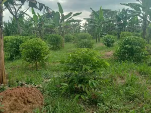 300 Acres of Land for Lease
