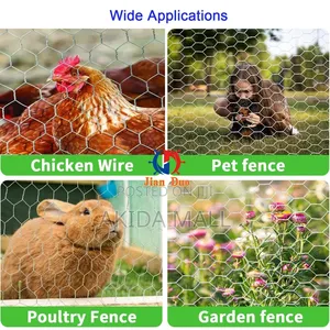 6ftx25mtrs Galvanized Steel Chicken Wire Mesh For Poultry Fencing