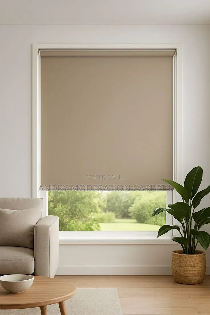 Functional Roller Blind Curtains