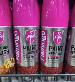 Paint Remover Spray