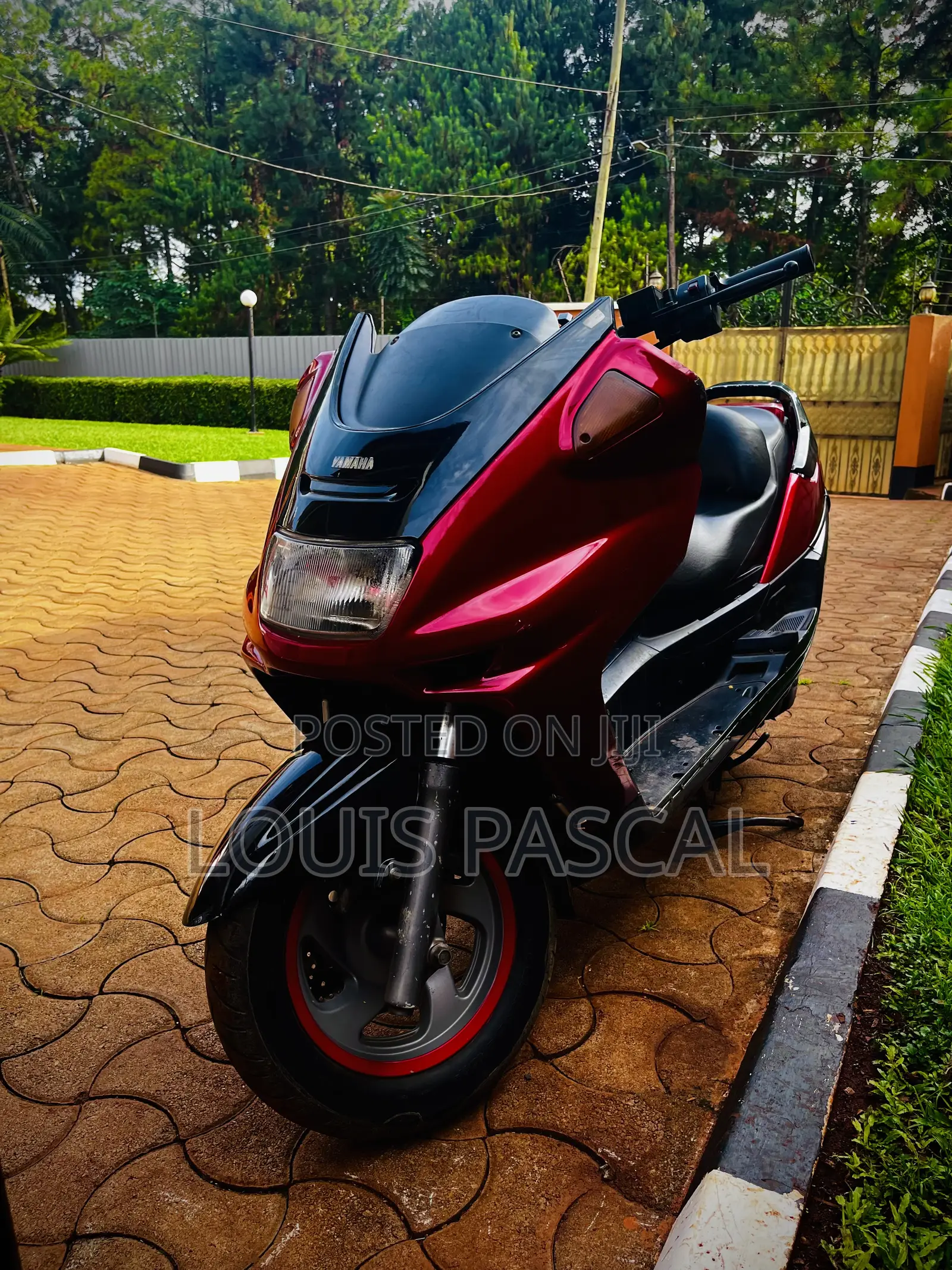 Yamaha Majesty 1996 Red