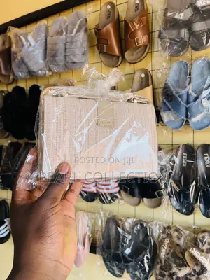 Ladies Hand Bag